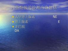 儿茶酚胺及儿茶酚胺代谢产物ppt课件.ppt