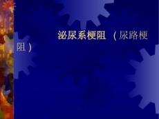 泌尿系梗阻 (尿路梗阻)