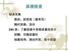 分泌物排泄物.ppt