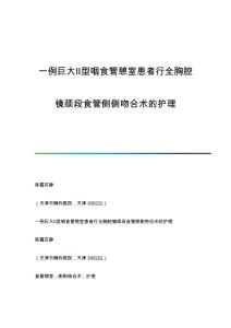 一例巨大Ⅱ型咽食管憩室患者行全胸腔镜颈段食管侧侧吻合术的护理