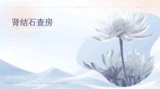 肾结石查房
