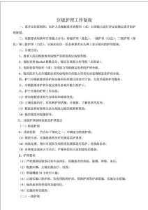 分級護理工作制度(最新版).doc