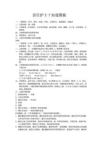 責(zé)任護(hù)士十知道模板.doc