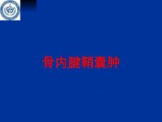 骨内腱鞘囊肿培训课件