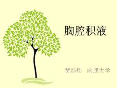 胸腔积液图文