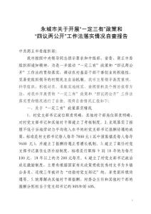 一定三有四議兩公開自查情況報告.doc