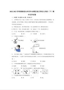 2022-2023學年湖南省永州市冷水灘區重點學校九年級（下）期中化學試卷-普通用卷