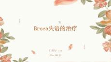 Broca失语的治疗