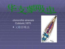 华支睾吸虫与华支睾吸虫病