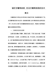 谨防甘薯黑痣病，防治甘薯黑痣病的技术要点