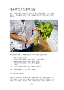 迷你魚菜共生系統(tǒng)制作