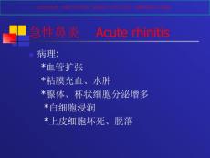 急性鼻炎专业知识培训培训课件