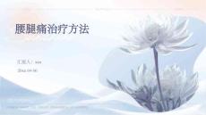 腰腿痛治疗方法ppt