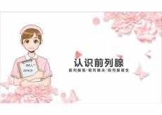 医疗课件—认识前列腺（前列腺癌前列腺炎前列腺增生）