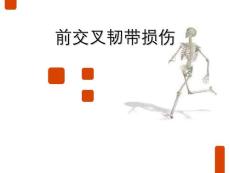 前交叉韧带损伤