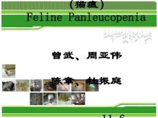 猫泛白细胞减少症