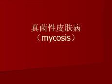 真菌性皮肤病