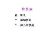 概述肺结核病肺外结核病