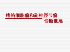 嗜铬细胞瘤的诊治