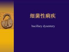 细菌性痢疾