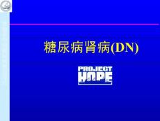 糖尿病肾病讲义