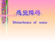 感觉障碍-神经内科