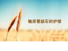 输尿管结石的护理