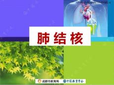 结核病班会