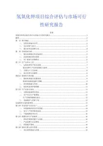 氫氧化鉀項目綜合評估與市場可行性研究報告