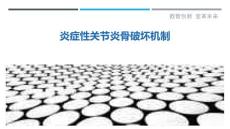 炎症性关节炎骨破坏机制