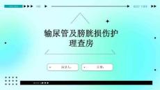 输尿管及膀胱损伤护理查房