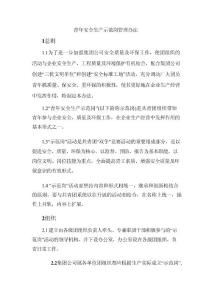 青年安全生產示范崗管理辦法(使用)