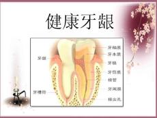 [预防医学]牙齿保健讲座