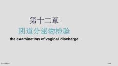 阴道分泌物检查