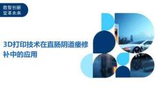 3D打印技术在直肠阴道瘘修补中的应用