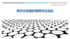 跨文化性偏好障碍文化适应