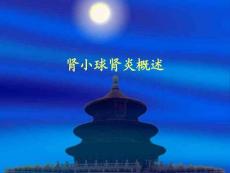 肾小球肾炎概述、肾小球疾病课件