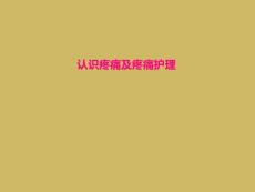 认识疼痛及疼痛护理【40页】
