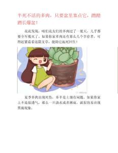 半死不活的多肉只要盆里塞点它蹭蹭蹭长爆盆养花技巧