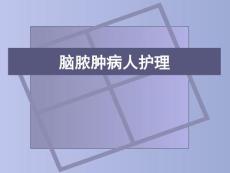 脑脓肿护理概述【15页】