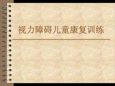 视力障碍儿童康复训练