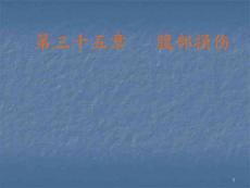 腹部損傷ppt課件(1)