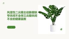 风湿性二尖瓣主动脉瓣狭窄关闭不全伴三尖瓣关闭不全的健康宣教
