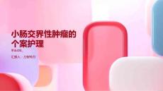 小肠交界性肿瘤的个案护理