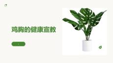 鸡胸的健康宣教