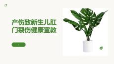 产伤致新生儿肛门裂伤健康宣教