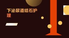 下泌尿道结石护理