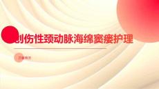 创伤性颈动脉海绵窦瘘护理