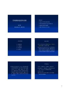 牙周病检查