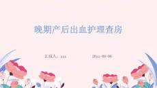 晚期产后出血护理查房ppt